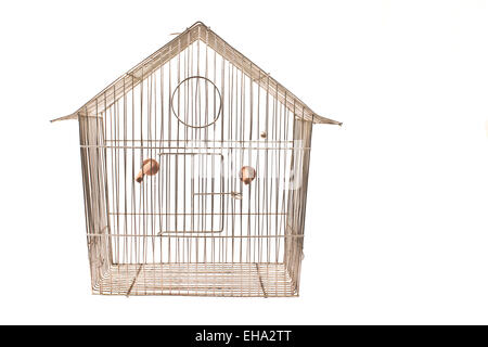 Cage à oiseaux vide isolated on white Banque D'Images