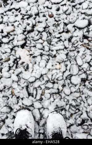 La neige couvre une plage de rochers et d'un randonneur's Winter Boots, Bar Harbor, Maine Banque D'Images