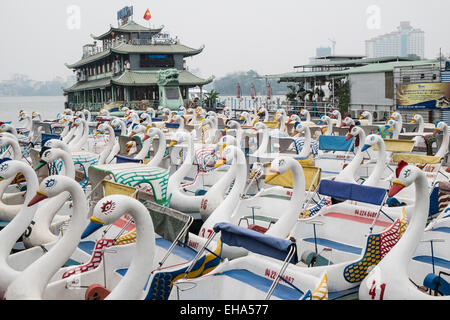 Oiseaux en forme de cygne,pédalo peddle, bateaux sur le lac de l'Ouest, Tay Ho, Ha Noi, Hanoi, Vietnam. Banque D'Images
