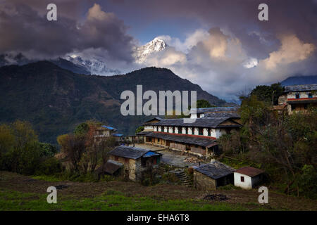 Ghandruk village dans la région du Népal Annapurna Banque D'Images