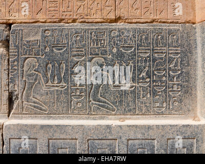 Reliefs à l'intérieur de la chapelle rouge de la reine Hatchepsout dans le musée en plein air de Karnak Louxor en Égypte Banque D'Images