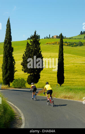 Coureurs sur route courbée au printemps, Val d'Orcia, Toscane, Italie Banque D'Images