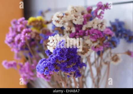 Coloré sec flowes sur cuisine dans une journée froide Banque D'Images