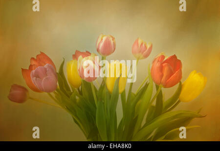 La joie de tulipes. Un charmant bouquet de tulipes de couleurs différentes avec un sentiment romantique. Banque D'Images