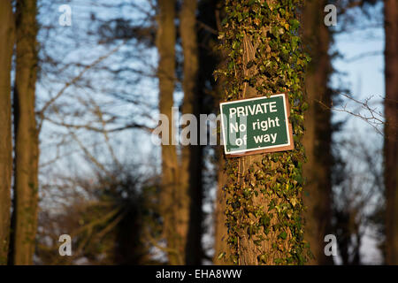 Privés aucun droit de passage signe cloué à un arbre dans un bois privé. UK Banque D'Images