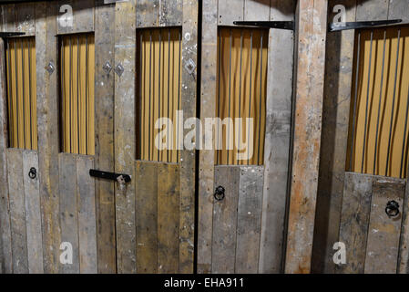 Vieille porte en bois, avec des barres de lumière naturelle Banque D'Images