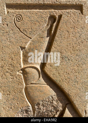 Close up of Horus portant la double couronne d'Egypte ancienne dans un soulagement dans le temple de Karnak Louxor, Égypte Banque D'Images