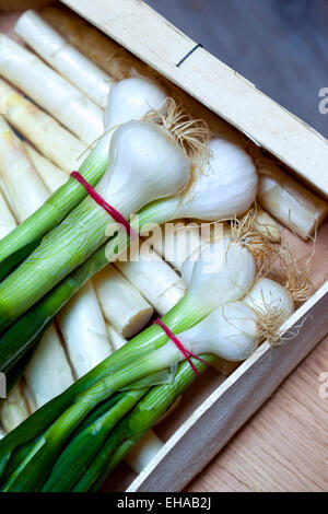 Les oignons et les asperges dans une caisse sur un étal du marché Banque D'Images