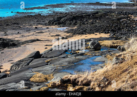 C'est une plage rocheuse à Reykjavik, Islande Banque D'Images