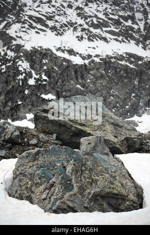 Rochers couverts de lichen dans la neige, Parc National des Ecrins, Alpes Françaises. Banque D'Images