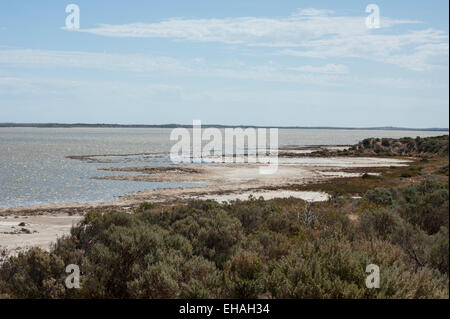 Le Coorong sur une chaude journée d'été sous peu de nuage, l'Australie du Sud. Banque D'Images