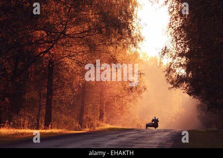 Automne route coucher du soleil, les rayons de lumière, le voyage Banque D'Images