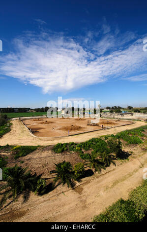 Installation de traitement des eaux usées. L'eau traitée est ensuite utilisé pour l'irrigation et l'utilisation agricole. Photographiée près de Hadera, Israe Banque D'Images