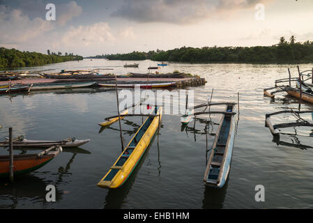 Bateaux de pêche colorés traditionnels dans le port de Negombo, Sri Lanka, Asie Banque D'Images