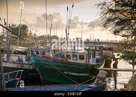 Bateaux de pêche colorés traditionnels dans le port de Negombo, Sri Lanka, Asie Banque D'Images