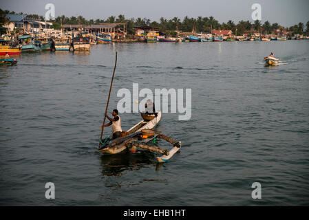 Bateaux de pêche colorés traditionnels dans le port de Negombo, Sri Lanka, Asie Banque D'Images