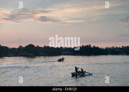 Bateaux de pêche colorés traditionnels dans le port de Negombo, Sri Lanka, Asie Banque D'Images