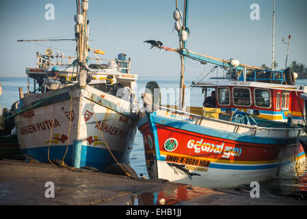 Bateaux de pêche colorés traditionnels dans le port de Negombo, Sri Lanka, Asie Banque D'Images