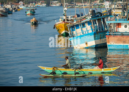 Bateaux de pêche colorés traditionnels dans le port de Negombo, Sri Lanka, Asie Banque D'Images