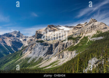 Emerald Glacier, Michael Peak, Président de Burgess, gamme Highline Trail, Canadian Rockies, Yoho, Colombie-Britannique Parc Nat Banque D'Images