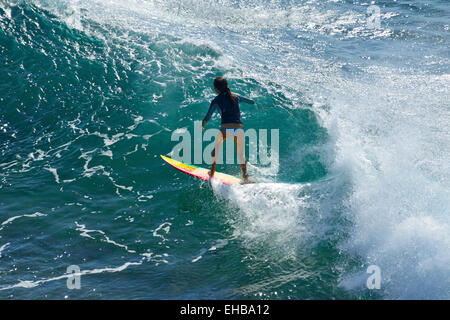 Surfers sur Honolua Bay sur l'île de Maui, Hawaii, USA Banque D'Images