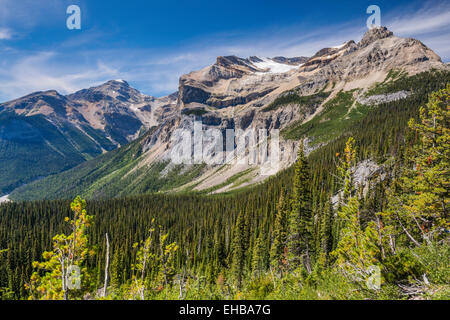 Emerald Glacier, Michael Peak, Président de Burgess, gamme Highline Trail, Canadian Rockies, Yoho, Colombie-Britannique Parc Nat Banque D'Images