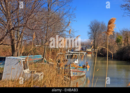 Au Delta du Pineios ('Peneus") Rivière, Larissa, Thessalie, Grèce. Banque D'Images