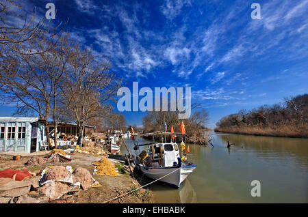 Au Delta du Pineios ('Peneus") Rivière, Larissa, Thessalie, Grèce. Banque D'Images