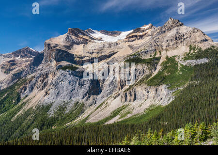 Emerald Glacier, Michael Peak, Président de Burgess, gamme Highline Trail, Canadian Rockies, Yoho, Colombie-Britannique Parc Nat Banque D'Images