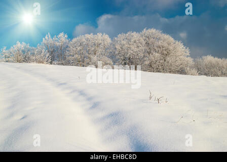 Icy hiver paysage avec shining bright day Banque D'Images