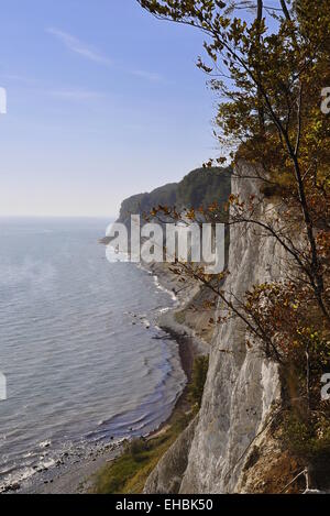 Parc national de Jasmund côtières de l'Île Rugia en Allemagne Mer Baltique. Banque D'Images