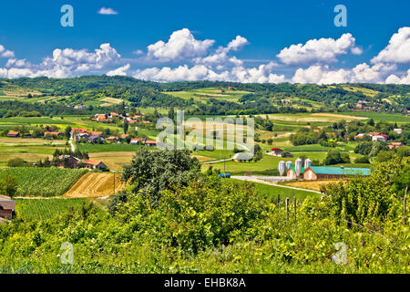 Countryside farmland green scenery en Croatie Banque D'Images