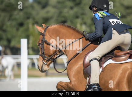 Les jeunes rider cavalier chasseur Banque D'Images