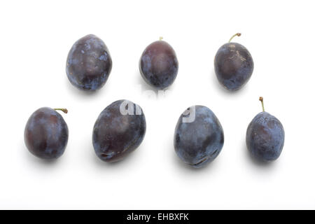 Prunes fraîches sur fond blanc Banque D'Images