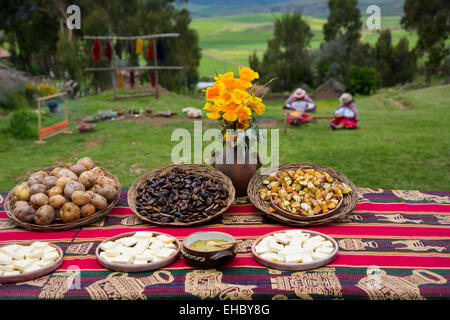 Alimentaire, Misminay,Quechua village, Vallée Sacrée, région de Cuzco, Urubamba Province, District, Pérou machupicchu Banque D'Images