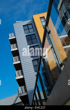 Développement de nouveaux appartements élégants, Norwich, Norfolk, Angleterre Banque D'Images