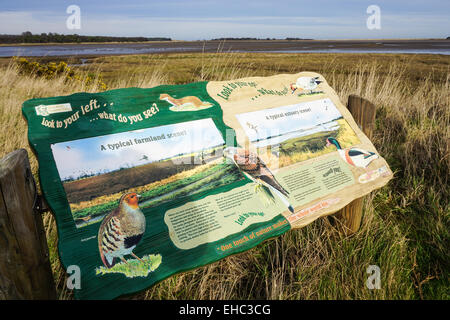 Information Board, Tyne Estuary, Nera Dunbar Banque D'Images