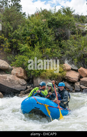 Les chevrons dans la section Numéros de l'Arkansas River au-dessus de Buena Vista, Colorado. Banque D'Images