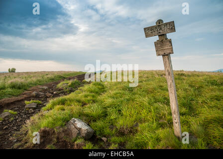 Un panneau en bois marque l'altitude de Pygargues à tête ronde sur le sentier des Appalaches, près de la frontière du Tennessee et de Caroline du Nord. Banque D'Images