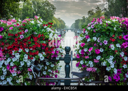 Rose, rouge, et blanc géraniums fleurissent en paniers de fleurs grandes le long d'un pont sur un canal à Amsterdam Banque D'Images