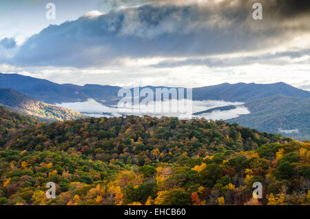 Le brouillard remplit la vallée entre les feuilles avec des couleurs changeantes Banque D'Images