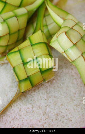 Les boyaux fraîchement ketupat Banque D'Images