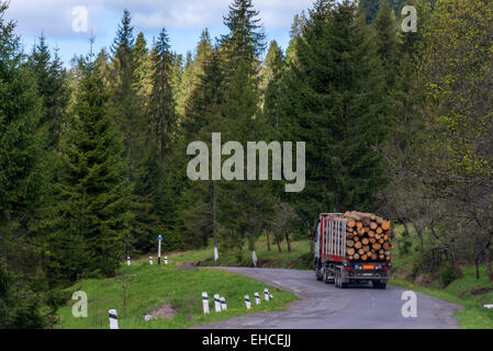 Piste rouge sur route forestière Banque D'Images