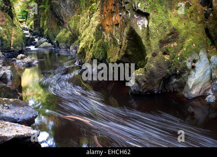 La Fairy Glen sur l'Afon Conwy, près de Betws y Coed, Snowdonia, le Nord du Pays de Galles, Royaume-Uni Banque D'Images