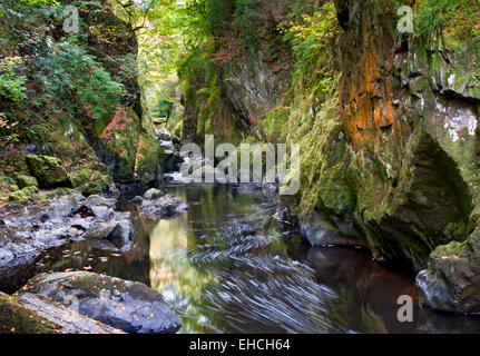 La Fairy Glen sur l'Afon Conwy, près de Betws y Coed, Snowdonia, le Nord du Pays de Galles, Royaume-Uni Banque D'Images