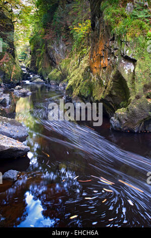 La Fairy Glen sur l'Afon Conwy, près de Betws y Coed, Snowdonia, le Nord du Pays de Galles, Royaume-Uni Banque D'Images