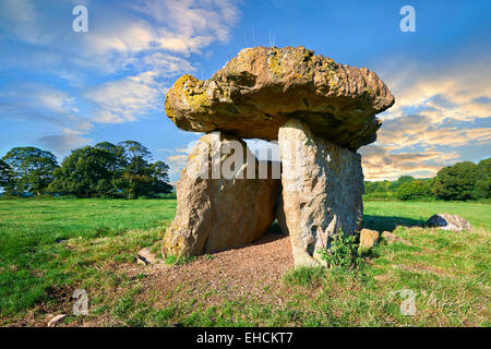 La chambre funéraire mégalithique St Lythans, une partie d'une longue chambre de culture néolithique long Barrow, il y a 6000 ans. Près de St Lythans, Vale of Glamorgan, Pays de Galles Banque D'Images