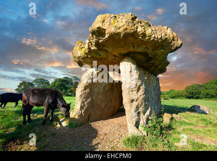 La chambre funéraire mégalithique St Lythans, une partie d'une longue chambre de culture néolithique long Barrow, il y a 6000 ans. Près de St Lythans, Vale of Glamorgan, Pays de Galles Banque D'Images