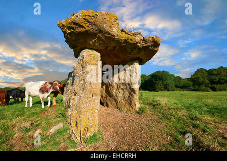 La chambre funéraire mégalithique St Lythans, une partie d'une longue chambre de culture néolithique long Barrow, il y a 6000 ans. Près de St Lythans, Vale of Glamorgan, Pays de Galles Banque D'Images