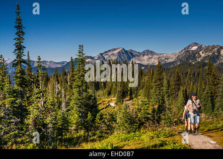 Selkirk, les randonneurs sur le sentier, chemin de Mont Revelstoke vue Parc Nat, British Columbia, Canada Banque D'Images